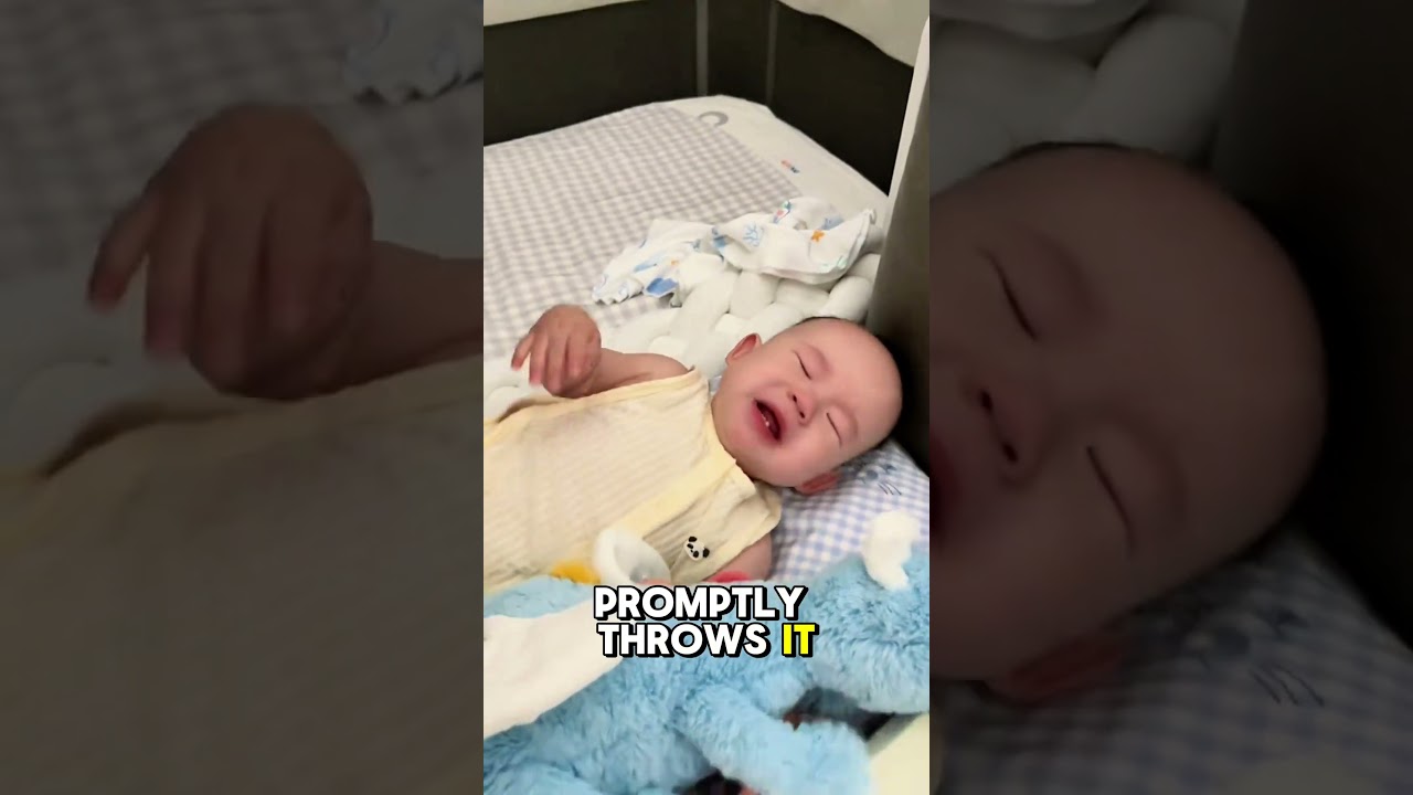 Baby's Comfort Object Attachment