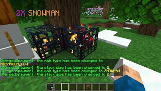 set command for MergedSpawner
