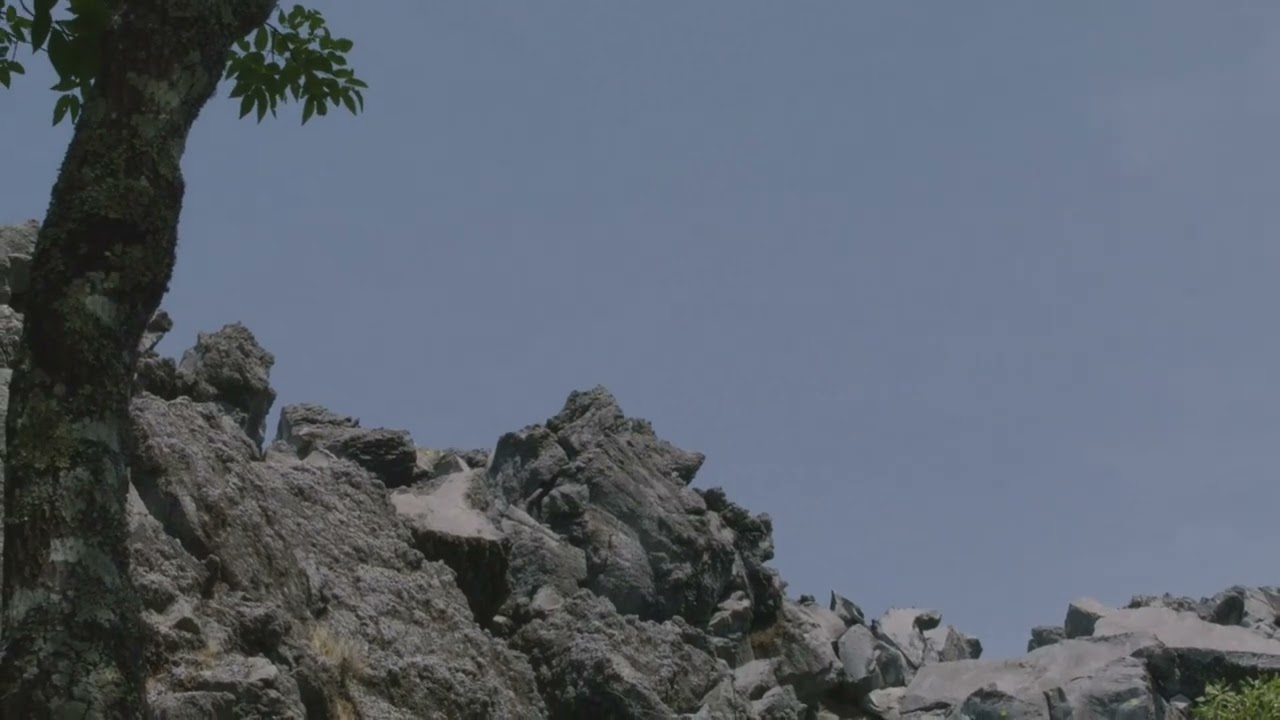 Natalie Imbruglia - Torn