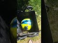 15 августа 2022 г.