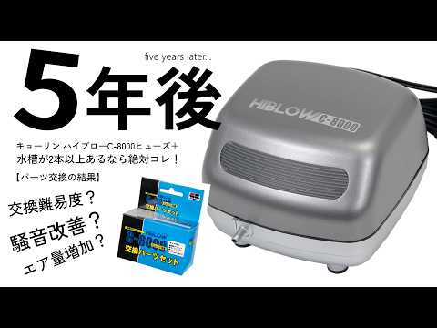 My absolute favorite aquarium air pump is this one → Kyōrin