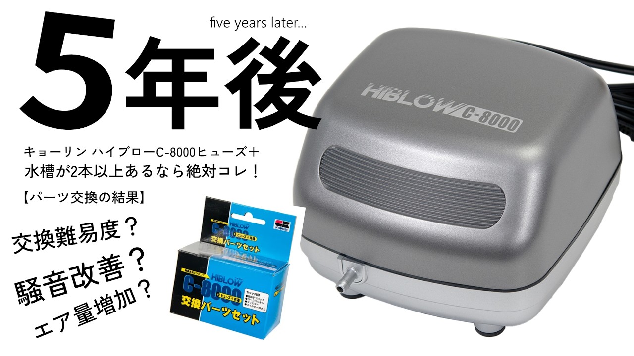 My absolute favorite aquarium air pump is this one → Kyōrin