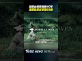 縱橫台灣時尚圈40年  溫慶珠逝世享壽69歲｜TVBS娛樂頭條 #shorts