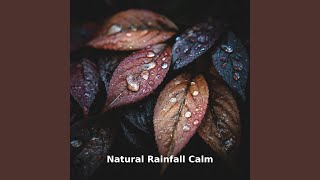 Natural Rainfall Calm Flow, Pt.12