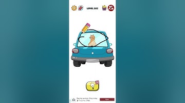 Braindom Draw Puzzle Level 302