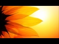 Louise Hay - Assisting In Your Own Healing