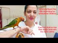 Janmashtami ke din morning ka wheather Dekho 😍🦜🦜♥️🫶@muskankhatra #vlog #dailyroutine #dailylife #yt 