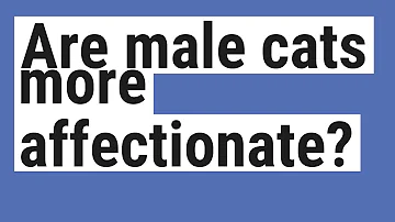 Are male cats more loving?