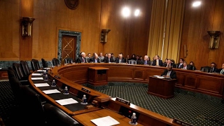Resist or Resign: Facing Grassroots Pressure, Democratic Lawmakers Intensify Fight Against Trump