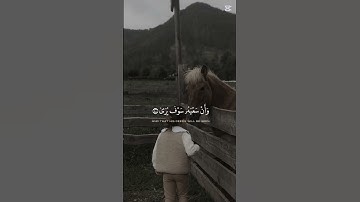 قرآن كريم #اللهم_صل_على_محمد_وال_محمد #اكسبلور_explore #اكسبلور #لايك #المصحف #الرحمن
