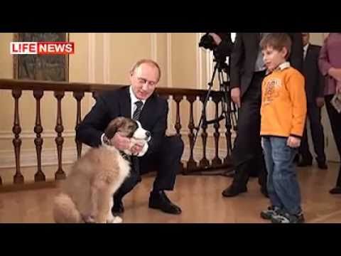 Баффи