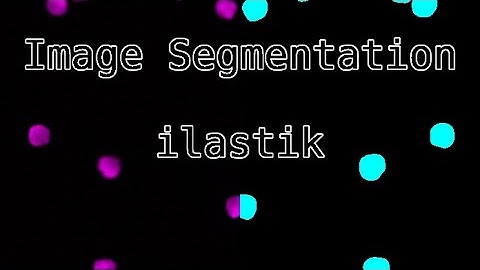 Image Segmentation with ilastik - Pixel Classification