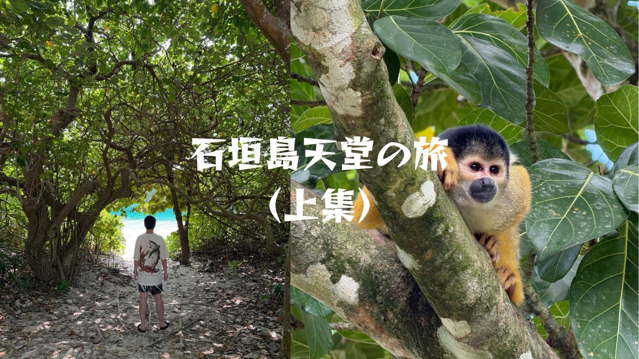 石垣島天堂の旅(上集) | 發現超Kawaii 松鼠猴🐒及米其林三星景點🏝️