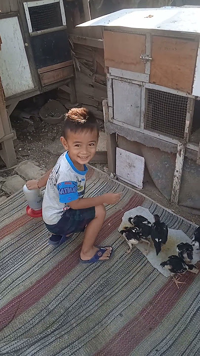 tangi turu makani pitik..