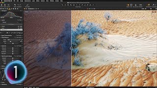LEVELS TOOL in Capture One Pro - Set the STRONG FOUNDATION for your edits FAST!