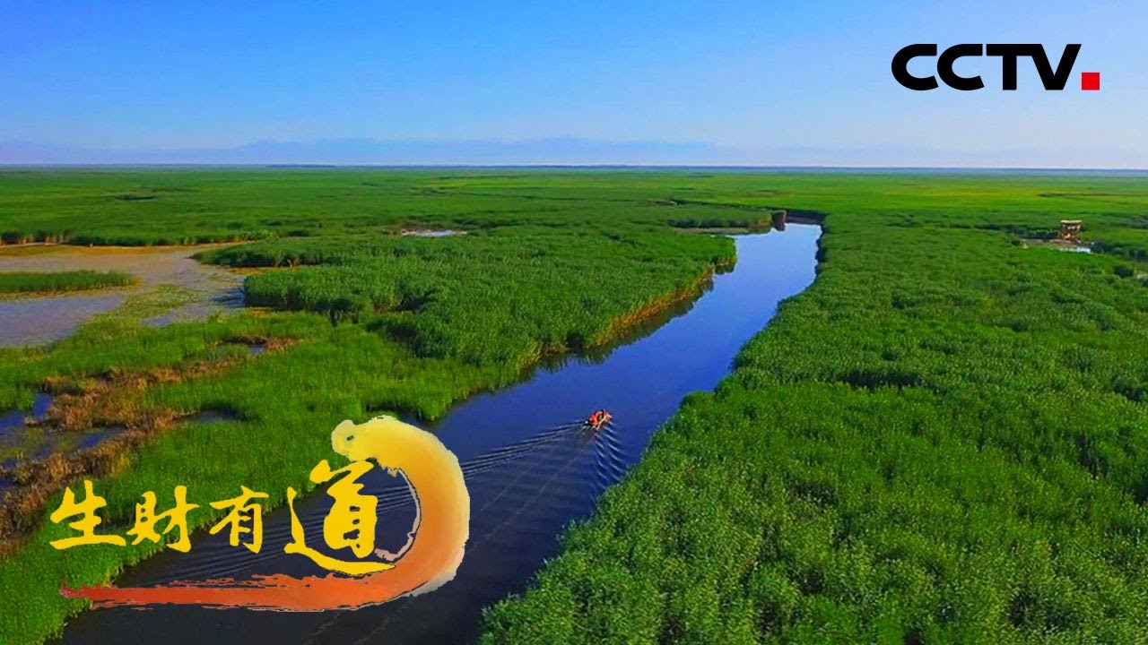 新疆博湖：道道美味处处景 到“西海龙宫”与红嘴鸥亲密接触「生财有道」20210817 | CCTV财经 - YouTube