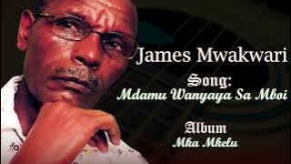James Mwakwari - Mdamu Wanyaya Sa Mboi
