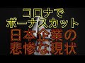 【ボーナスカット最大１００％】悲惨な日本企業の給与の現状