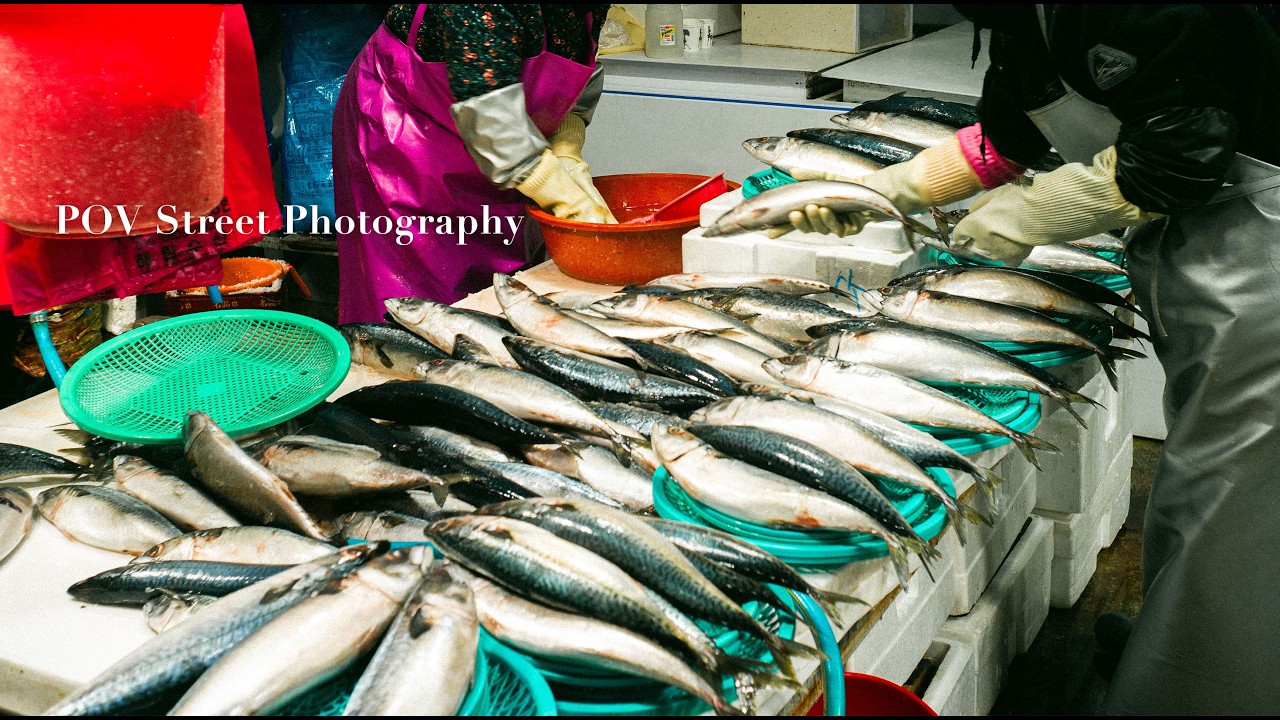 POV Street Photography | Leica M9-P | Jukdo Fish Market in Korea | Feb 2026 | 죽도시장