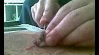 İnsan Eti Yiyen Adam(Hannibal).wmv İnsan Eti Yiyen Adam(Hannibal).wmv
