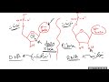 الاحماض النووية Nucleic Acids DNA And RNA 