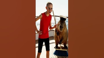 Capy released crocodiles, destroying the yacht #capybara #funny #trending #shorts #ai