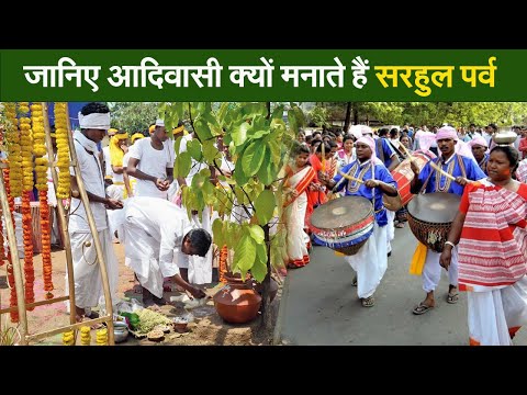 जानिए आदिवासी क्यों मनाते हैं सरहुल पर्व  I Trible festival  I Sarhul Parab