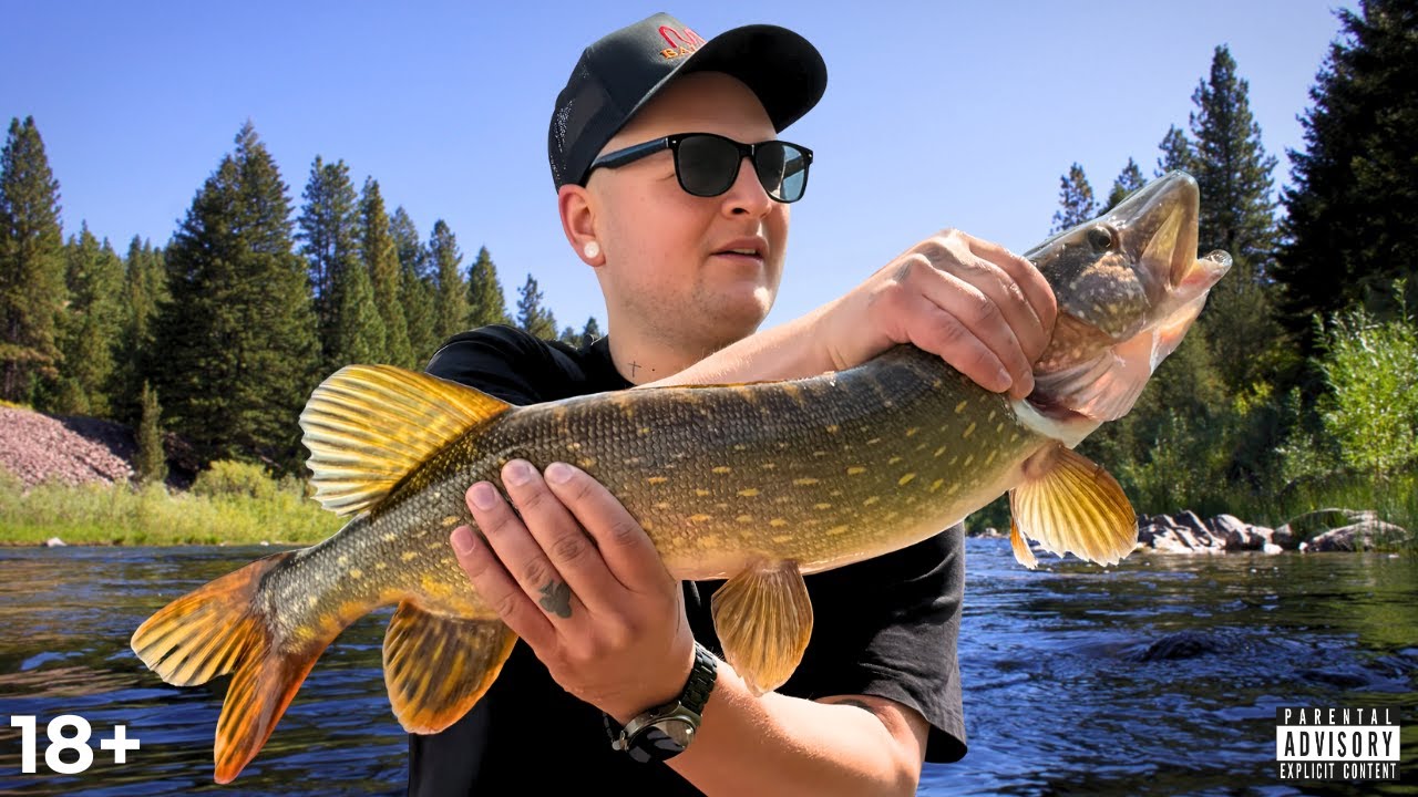 TESTĒJAM ALBERTA DĪĶUS UN INGARA REKORDA LĪDAKA + GIVEAWAY