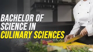 Ignite Your Culinary Passion at Chandigarh University