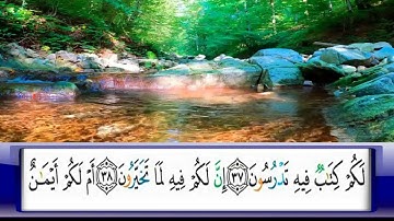 الربع     226/الشيخ محمد جبريل /سورة القلم