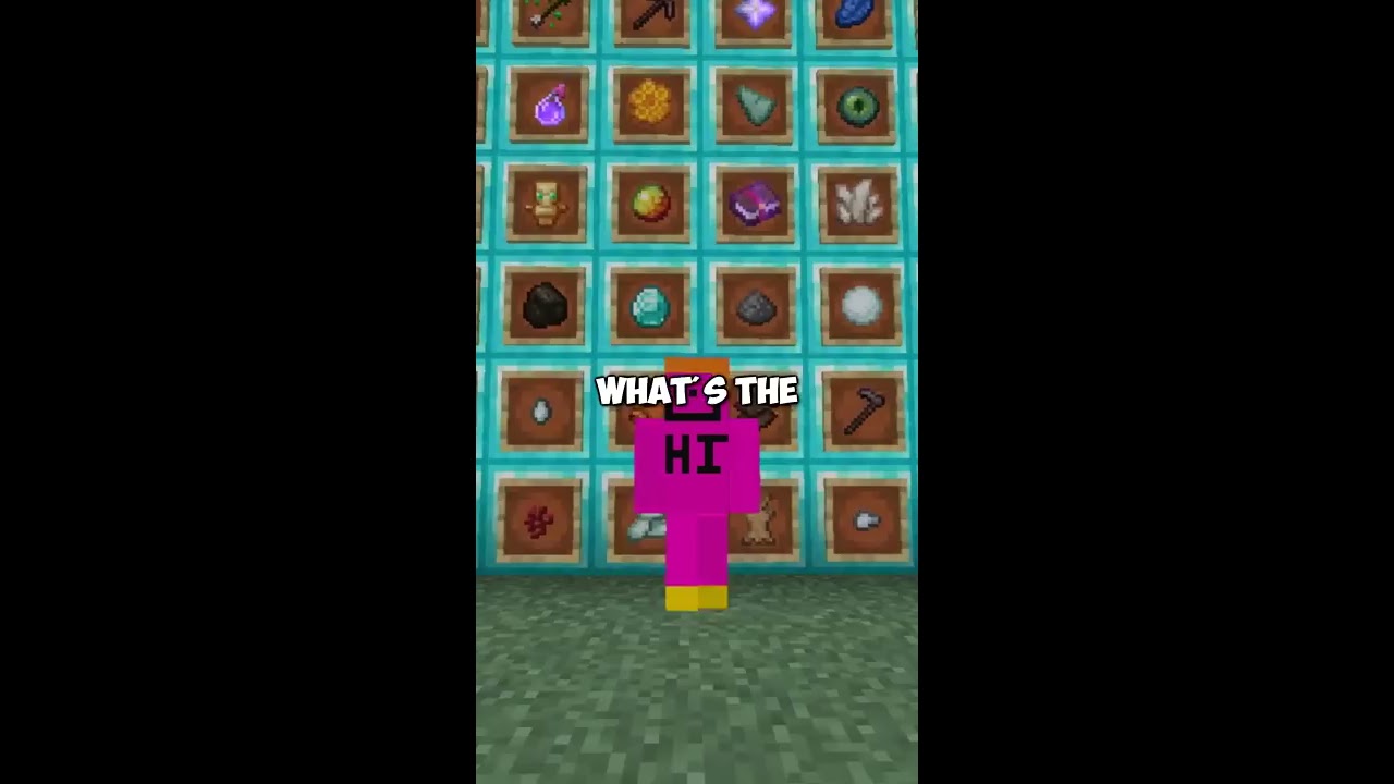 The First Minecraft Item