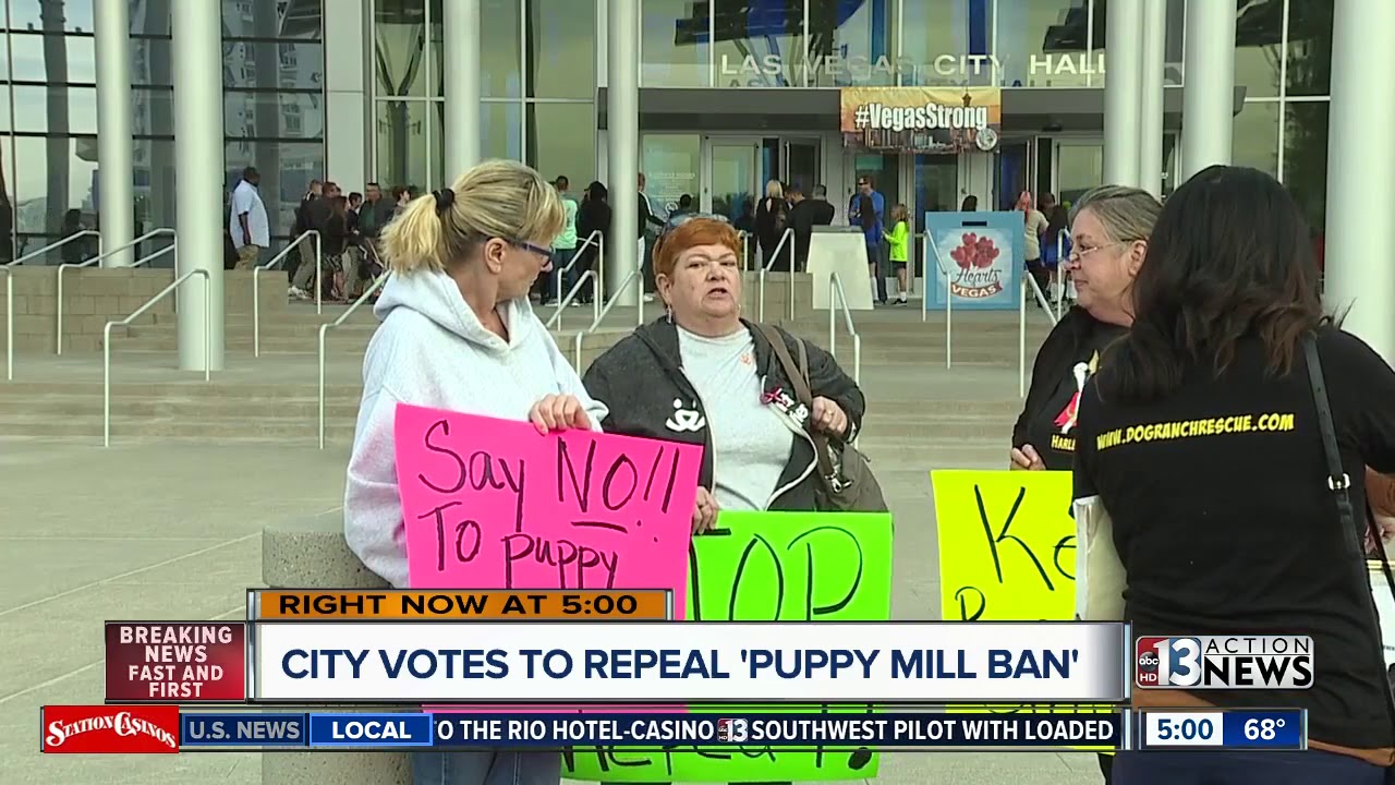 Las Vegas City Council votes to repeal 'Puppy Mill Ban'