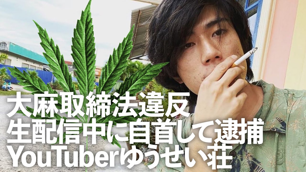 大麻 youtuber