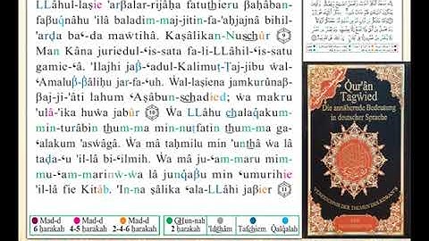 ختمة من مصحف التجويد باللغة الألمانية الصفحة رقم 435