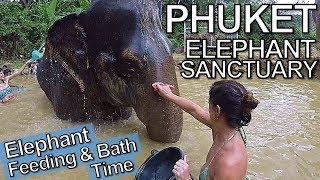 Phuket Thailand: Elephant Sanctuary & Patong Beach New Year’s