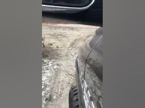 2017 ram 2500 front end noise video 1 - YouTube