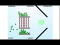 Blosics Complete Gameplay Flash Games 11 Blosics Complete Gameplay Flash Games 11