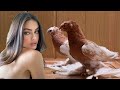 Богатые мажоры вернулись за $1 vs $250,000! Двухчубые голуби. Tauben. Pigeons. Palomas. Pombos.