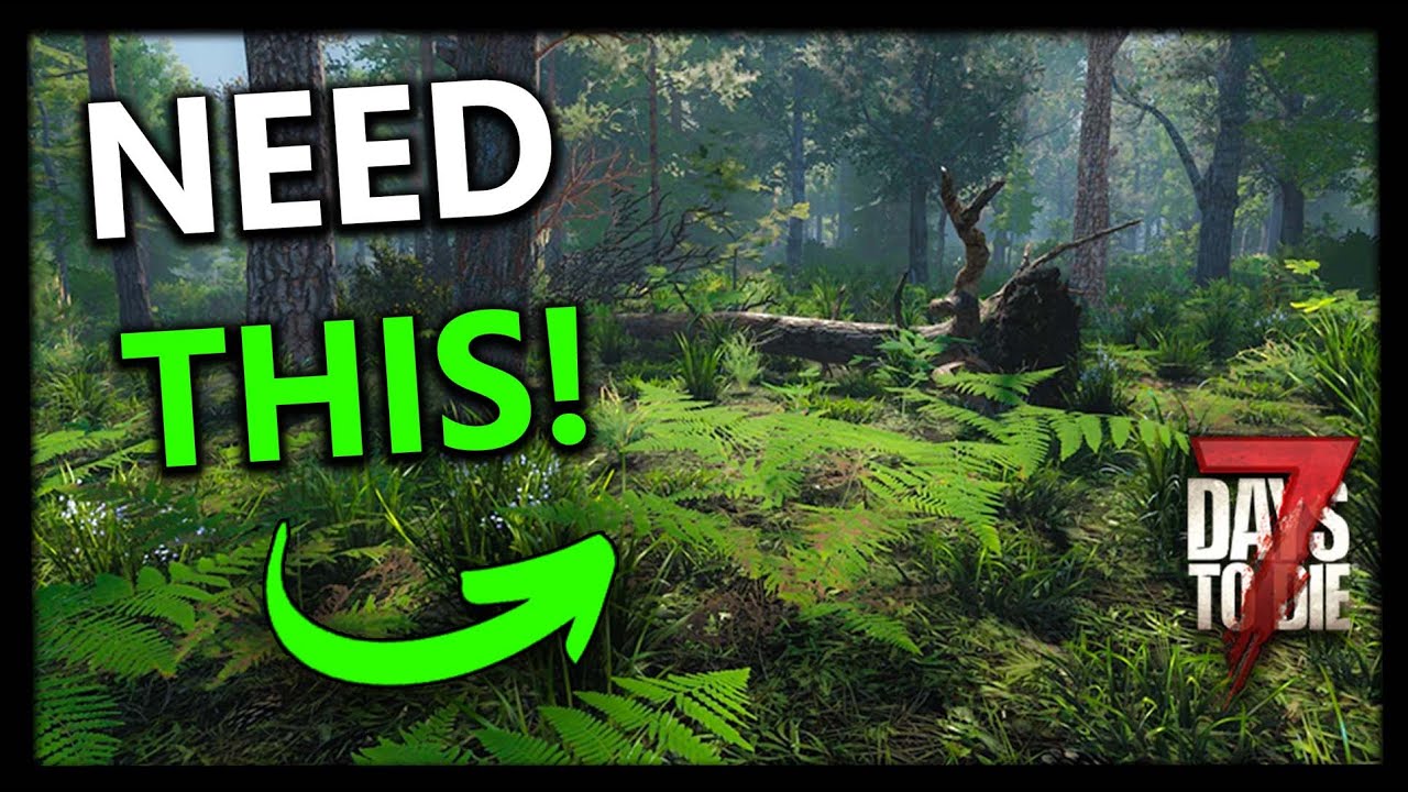 Why Haven’t The Fun Pimps Added THIS Yet?!