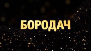 Бородач   2016! online video logo