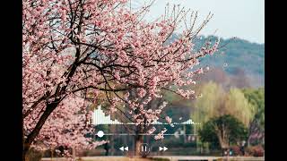 Yhan  Bloom U0026 Zoom   