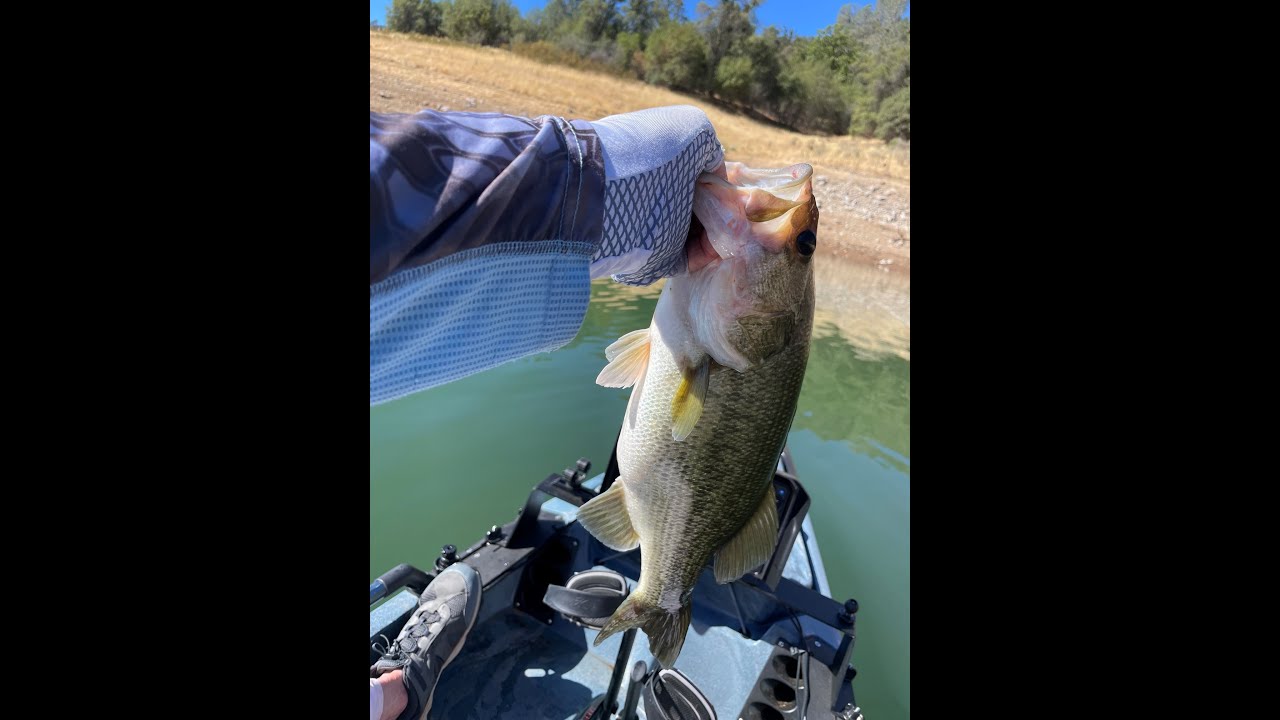 Bass Fishing New Melones Lake California 08 13 2024