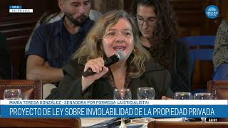 SENADORA TERESA GONZÁLEZ 2 - PLENARIO DE AS. CONSTITUCIONALES Y LEG. GENERAL 15-04-26