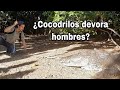 ¿ Cocodrilos agresivos ? | Laguna del carpintero | Cocodrilo ataca tortuga