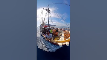 Volcanic tour #santorini #insta360 #sailing