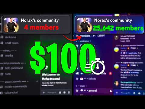 I Spent $100 to Grow My Discord Server
