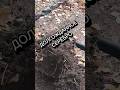Долгожданное серебро#находки #монеты #coins #коп #metaldetecting #металлоискатель #видео #поиск#