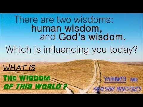 What is the wisdom of this world? 🌎