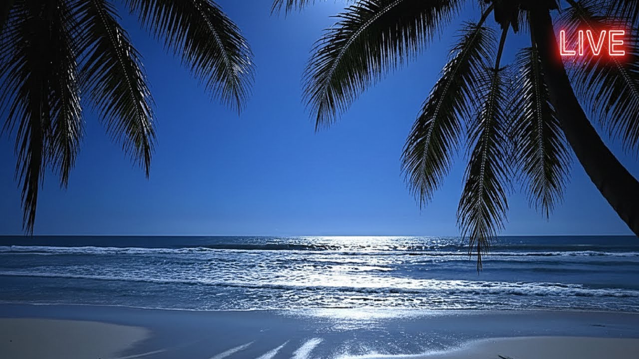 🔴 LIVE 12 Hours Ocean Waves | Peaceful Sea Sounds for Focus & Relaxation