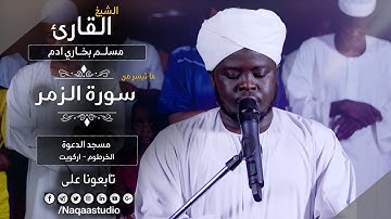 روائع الفجر | من سورة الزمر | الشيخ مسلم بخاري |Sh.Muslim Bukhri  |Surah  alzumaer